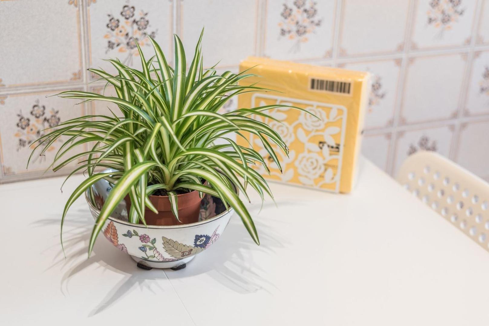 Appartamento Guestready - Eclectic Haven In The Heart Of Oporto Esterno foto